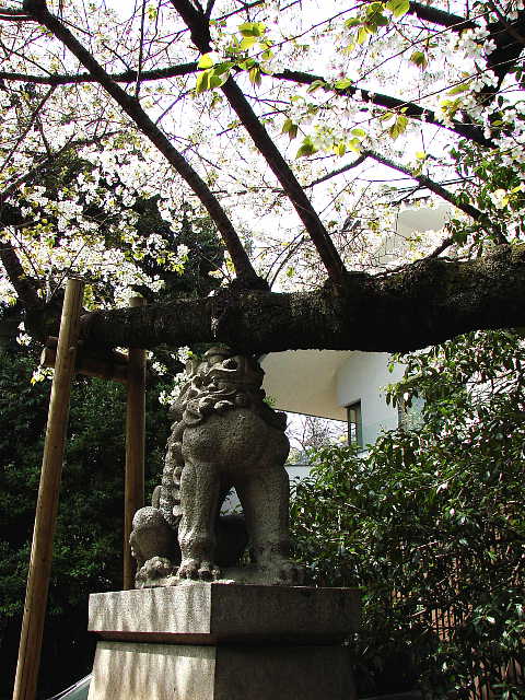 赤坂　氷川神社