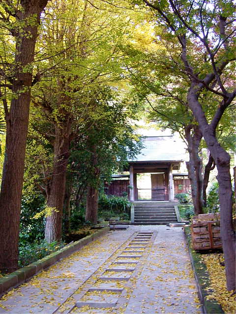 鎌倉五山　円覚寺　写真