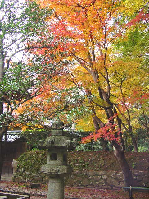 京都　法然院 写真