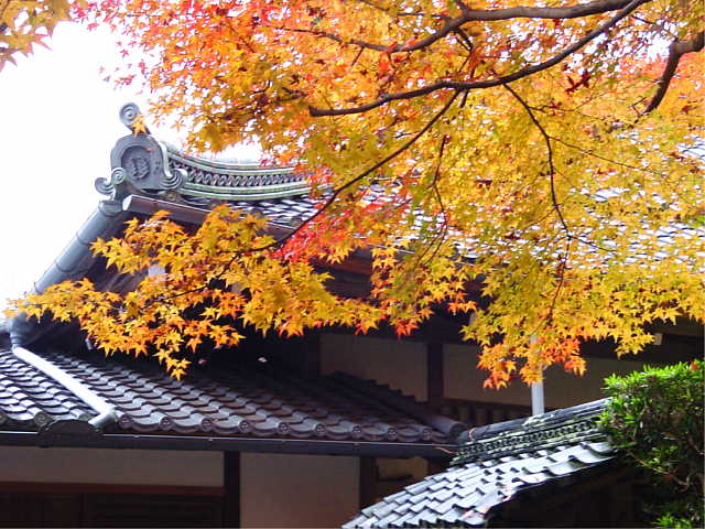 京都　法然院 写真