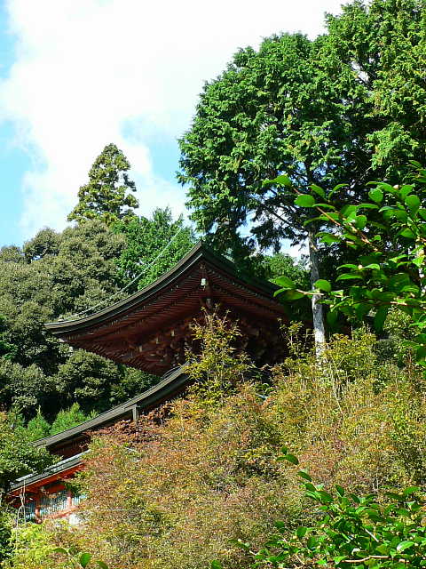  高雄 神護寺 写真