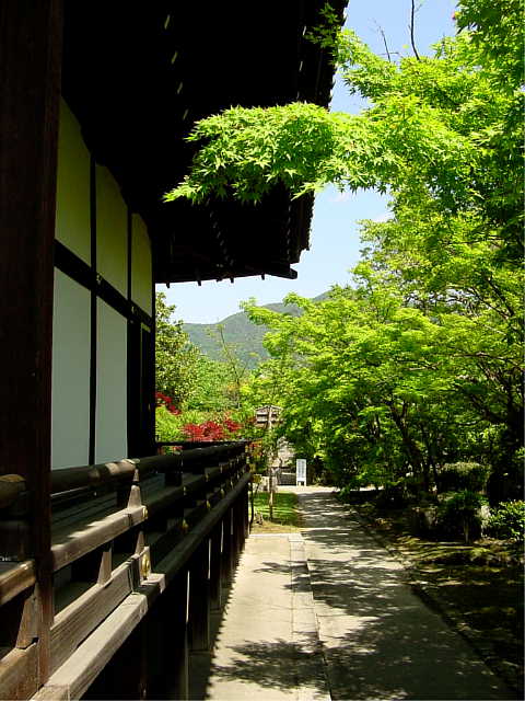 京都 勧修寺 写真