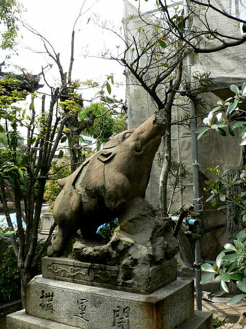 京都　本法寺 摩利支天堂前の狛イノシシ 写真