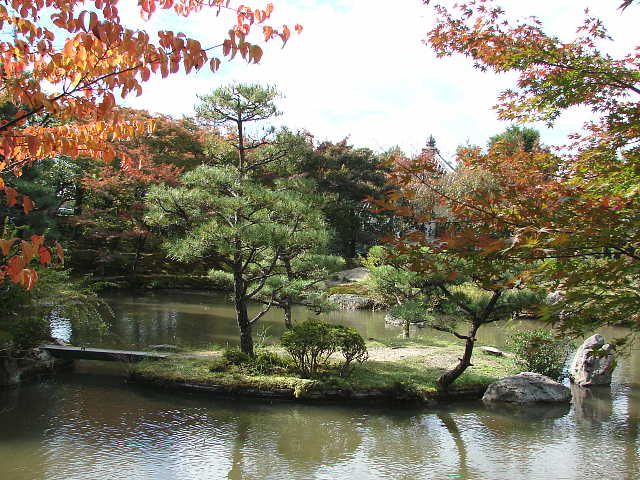 京都　法金剛院 苑池 写真