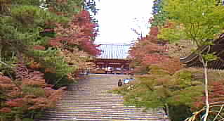  高雄 神護寺 写真