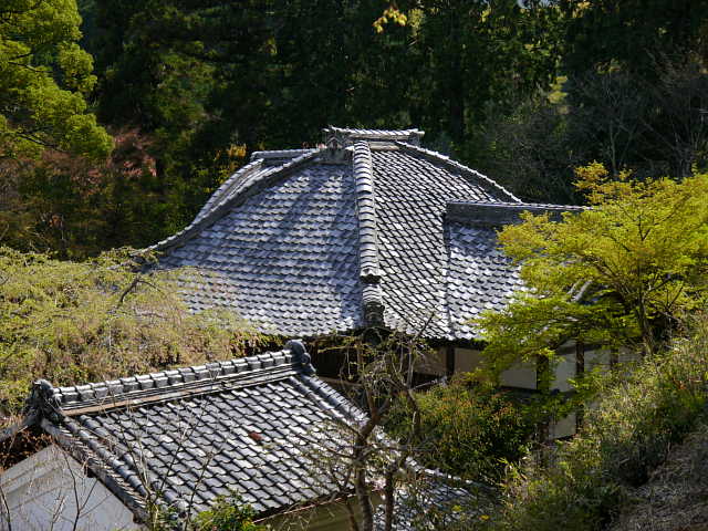 十輪寺 本堂屋根 写真