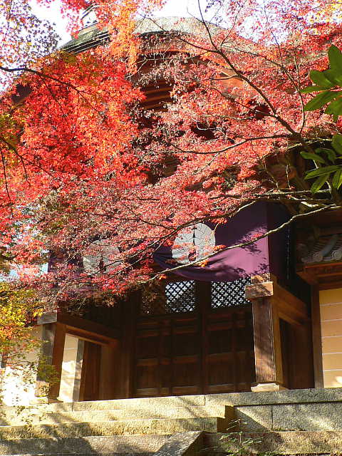 京都 光明寺 勅使門