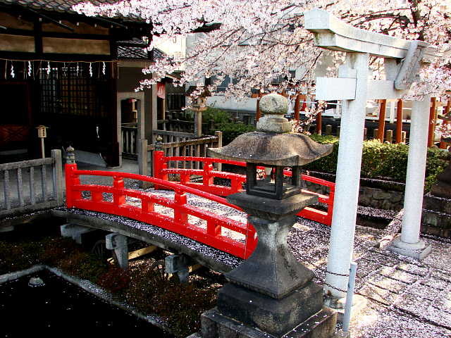 京都　六孫王神社 写真