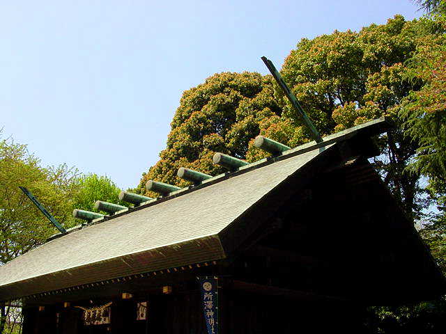 所沢神明社 千木と鰹魚木